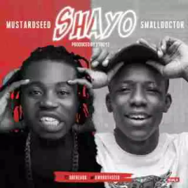 Mustardseed - Shayo ft. Small Doctor